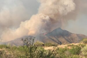 20a275cc 2f82 4120 B0b3 20d5e77f59b7 Tussock Fire Courtesy Of Bureau Of Land Management