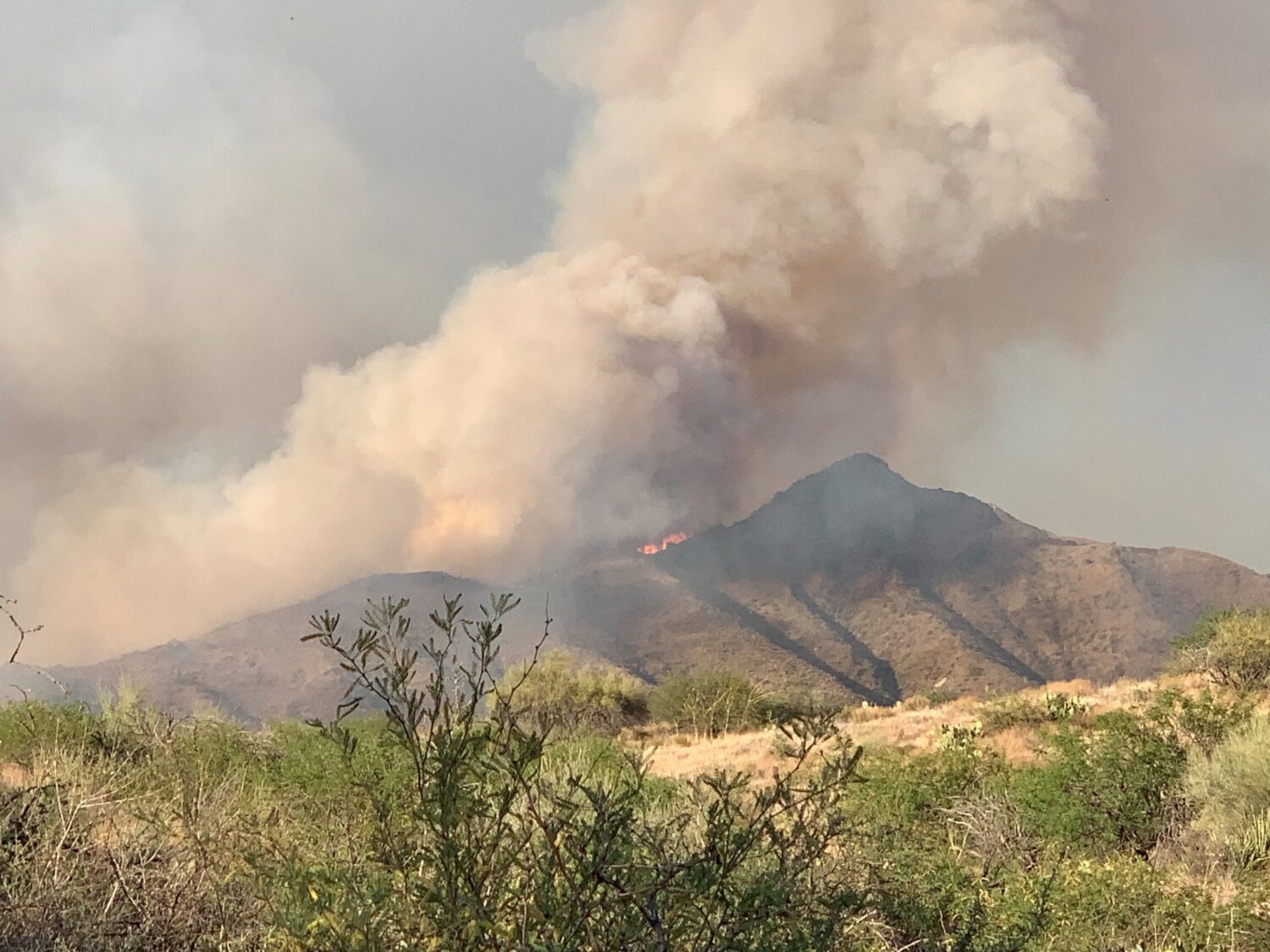 USA: Two Arizona Wildfires Scorch More Than 6,000 Acres