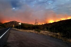 210607161340 Arizona Fires Telegraph Mescal Monday Exlarge 169