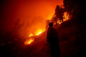 Sequoias Fire
