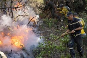 19 08 2021 Morocco Forest Fire