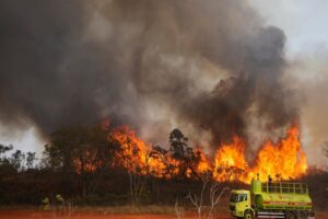 24 08 2021 Brazil Biopreserve Fire