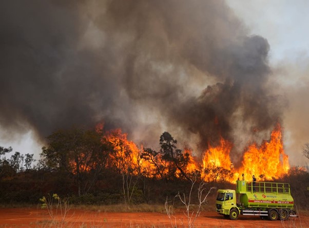 Brazil: Flames Still Spreading In Biopreserve Park Near Sao Paulo
