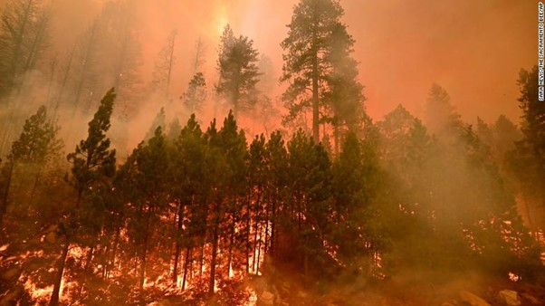 Caldor Fire: More Than 34,000 Californians Are Under Evacuation Orders