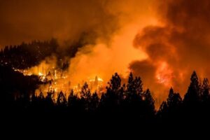 91 Wildfires 1