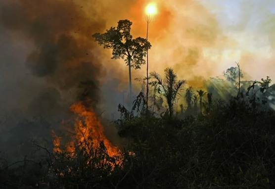 Brazil: August Amazon Fires Remain Near Highs Under Bolsonaro