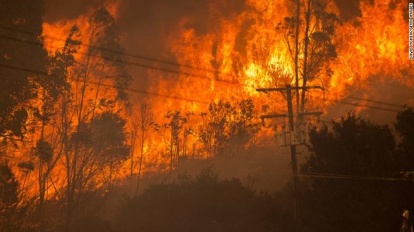 Southern California’s Alisal Fire Is 50% Contained