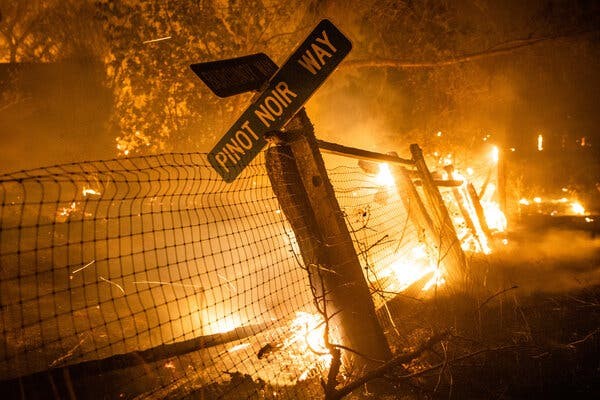 California Regulators Fine PG&E $125 Million For 2019 Fire