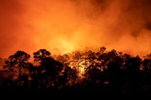 19 01 2022 Texas Wildfire