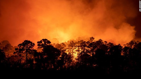 Texas Wildfire Forces Residents To Evacuate As Dozens Of Firefighters Are Deployed