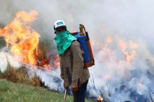 27 02 2022 Argentina Wildfire