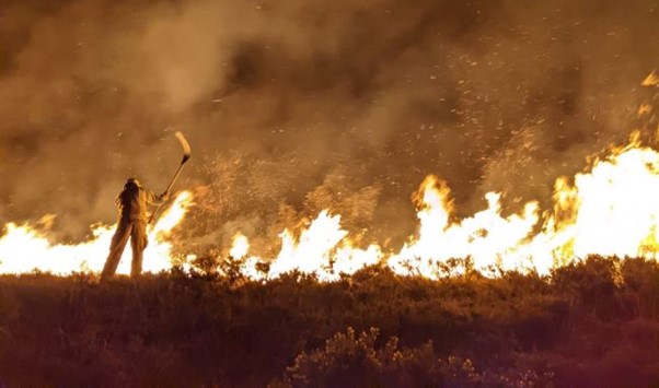 ‘Arson Attack’ Created Two-mile ‘fire Front’ At Cornwall Wildlife Trust Nature Reserve