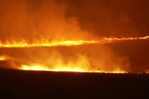01 04 2022 NI Wildfire