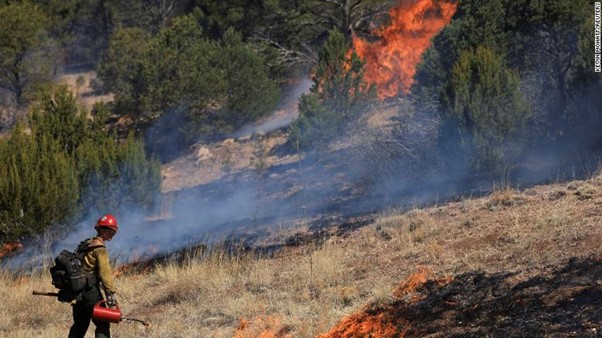 A Major Disaster Is Declared In New Mexico, Unlocking Federal Aid.