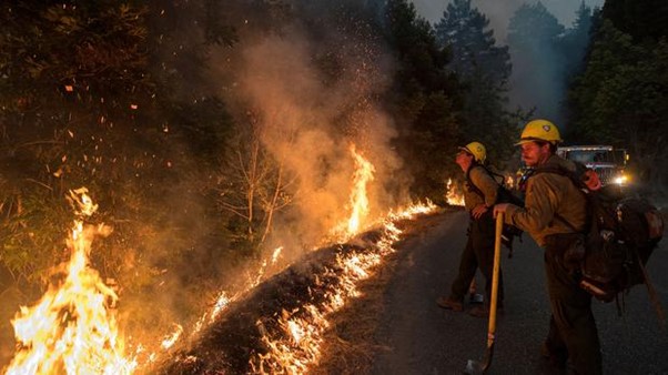 Man Jailed For 24 Years Over Wildfire That Killed 12 Condors