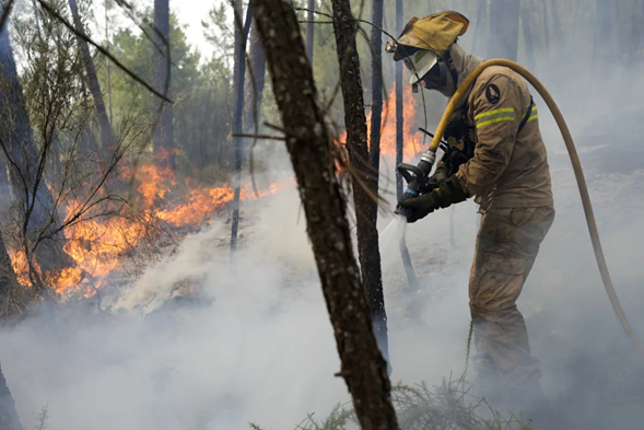 What’s Behind Europe’s Spate Of Deadly Wildfires?