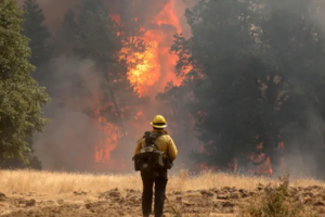 25 07 2022 Oak Fire