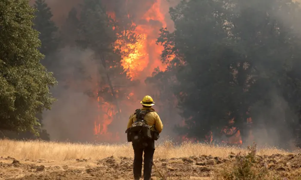 Oak Fire Remains Uncontained As Governor Declares State Of Emergency