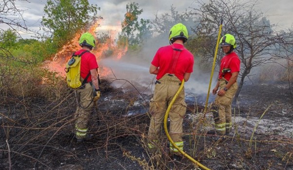 London Fire Brigade Told To Improve In Stark Report After Heatwave Efforts