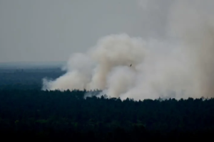 05 08 2022 Berlin Forest Fire