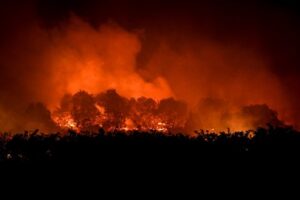 18 08 2022 Algeria Fire