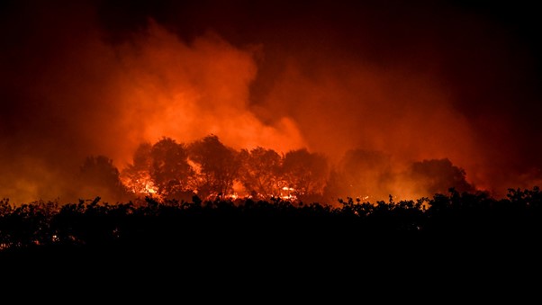 Death Toll From Algeria Forest Fires Increases To 38 As Firefighters Continue To Battle Blaze