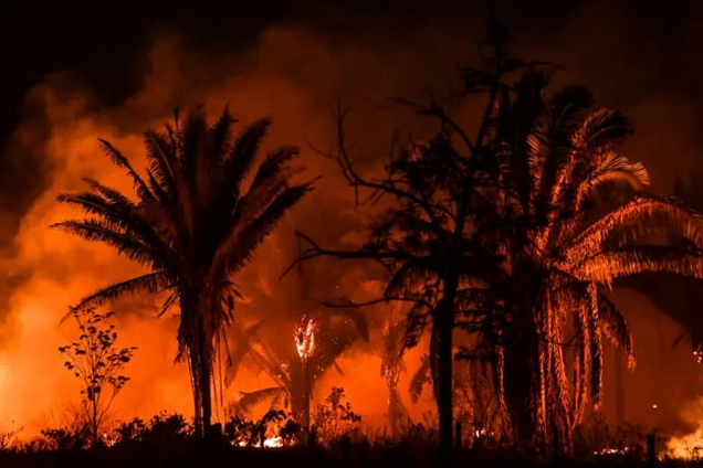 Brazil Records Worst Day For Amazon Fires In 15 Years