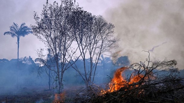 Brazilian Amazon Records Worst August For Fires In 12 Years
