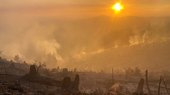 Nakia Creek Fire Explodes Amid Powerful Winds, Forcing Thousands Of Evacuations