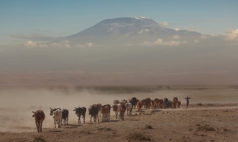 Firefighters Tackle Blaze On Tanzania’s Mount Kilimanjaro