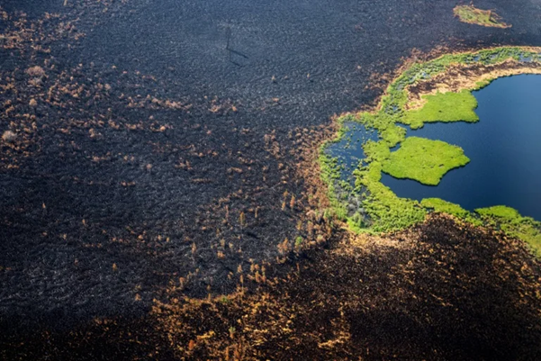 Arctic Fires Could Release Catastrophic Amounts Of C02: Study