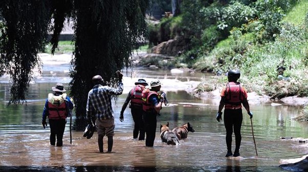 Search For Missing Johannesburg Worshippers As Flood Death Toll Reaches 14