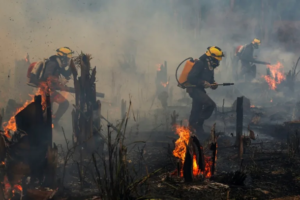 15 12 2022 Brazil Wildfires