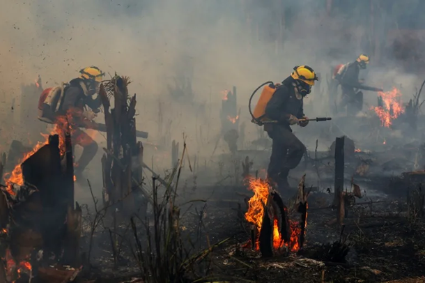 Brazil Sees Area Burned By Fire Nearly Double In November
