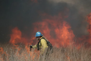 21 12 2022 Firefighter Arson