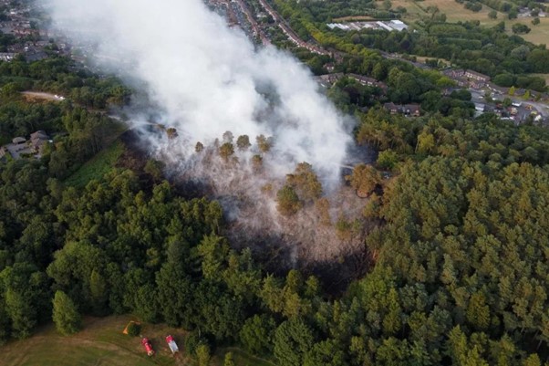 Firefighters Attended One Wildfire Per Day In Spring Last Year, Figures Show