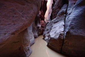 18 03 2023 Utah Canyon Flood