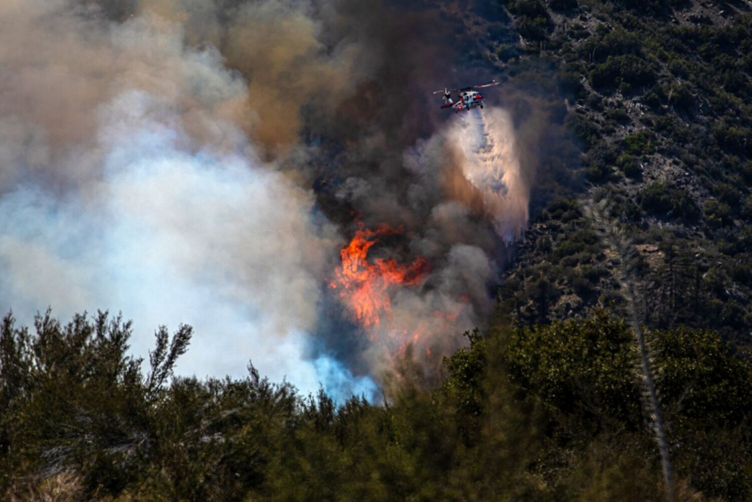 California’s First Wildfire Of The Season Burns 160 Acres, Heads Toward Snowpack