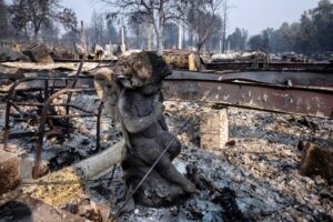 27 04 2023 Utility Wildfire Trial