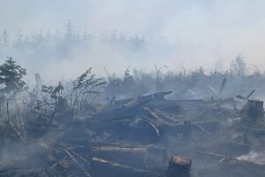 15 06 2023 Northern Ireland Fires
