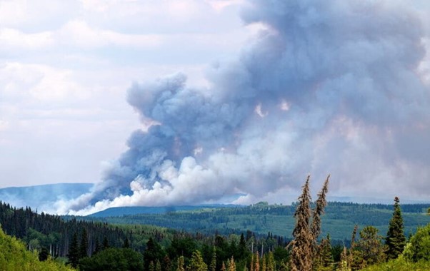 Wildfires In Canada Break Records For Area Burned, Evacuations And Cost