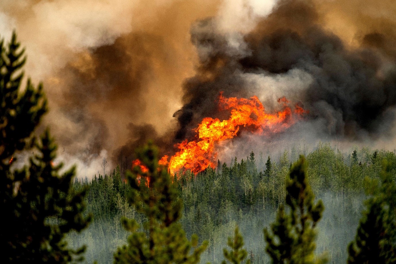 Canada’s Wildfires Blacken Thousands Of Square Miles And Just Keep Growing