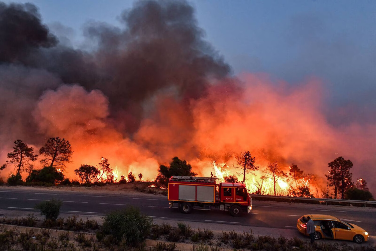 Algeria Fires Fanned By Winds, Extreme Heat Kill 34