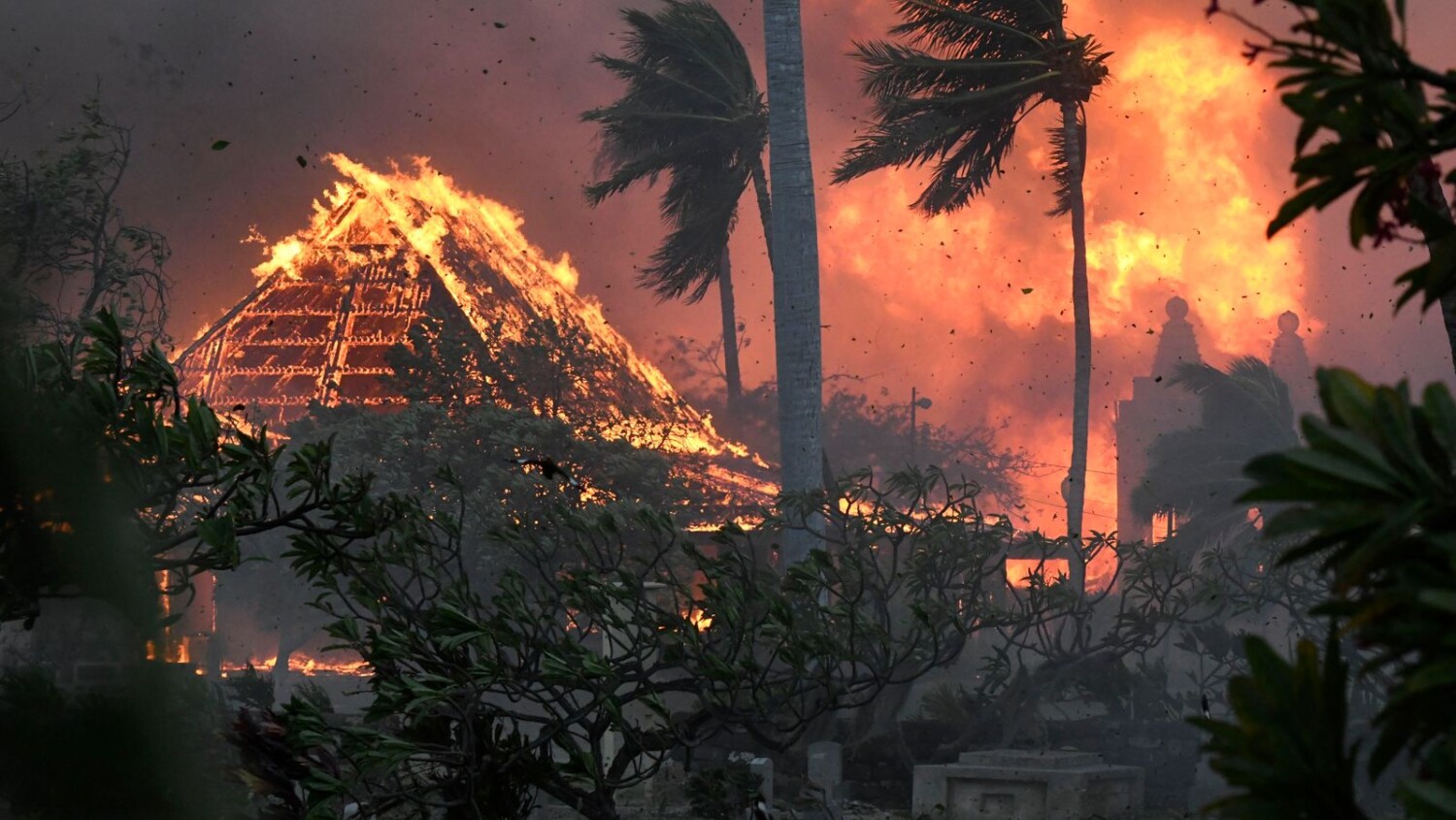 Six People Killed In Unprecedented Hawaii Wildfires Fanned By Hurricane Dora
