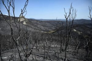 05 09 2023 Greece Wildfire Under Control